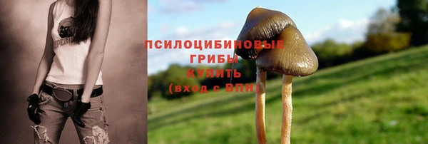 не бодяженный Володарск