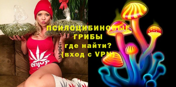 метадон Дегтярск