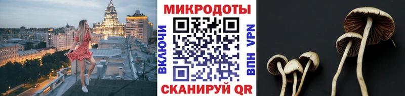 ОМГ ОМГ сайт  Галич  Псилоцибиновые грибы Cubensis  где купить наркоту 